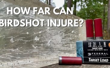 how far will 12 gauge bird shot travel